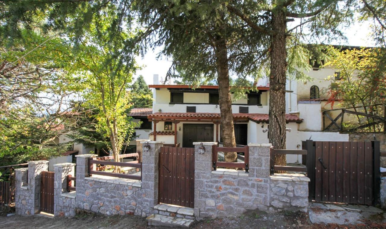 Dandy Villas Agoriani - Chalet Ivoni - Fireplace Eptálofos 外观 照片